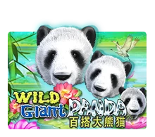Joker123 : Wild Giant Panda - SUPERBET388