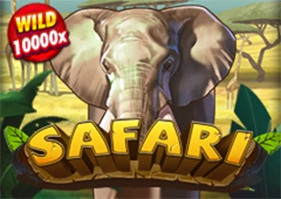 Safari - SUPERBET388